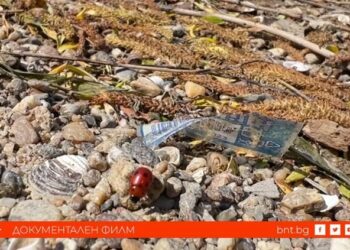 Невидимата инвазия