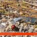 Невидимата инвазия