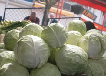Фермери бракуват продукцията си заради ниските изкупни цени.